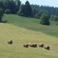 Rando : Le Mont Châteleu dans le Haut-Doubs jurassien