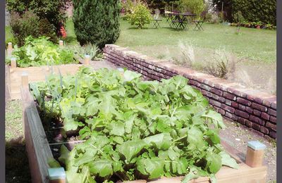 Potager au carré...rectangulaire