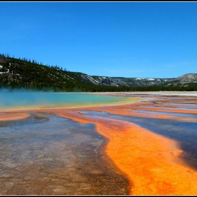 Yellowstone National Park