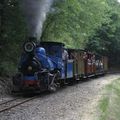 40 éme Anniveraire de l'APPEVA Train touristique de la Haute-Somme