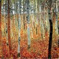 Forêt de hêtres (erreur dans le titre qui est "forêt de bouleaux") de Gustav Klimt