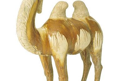 Camel, Tang Dynasty (618–907), 8th–9th century
