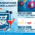ILE VERTE : UNE PREMIÈRE QUINZAINE D’AOÛT EN DEMI-TEINTE.
