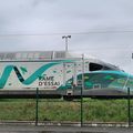 Quid du design de la rame d’essai TGV-M en gare de Belfort, le 3 juillet 2024 ?