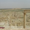 Vue panoramique de Palmire 