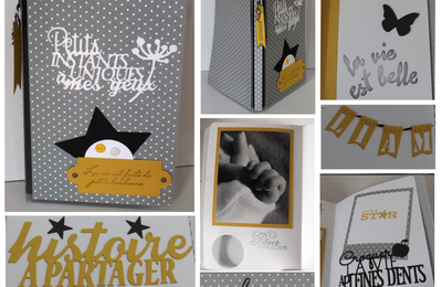 Mini-album "Petits instants uniques "