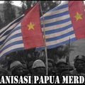 La Papouasie Occidentale annexée et pillée par l'Indonésie