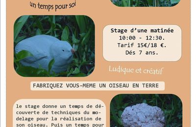 STAGE DECOUVERTE - FABRIQUER UN OISEAU EN TERRE.