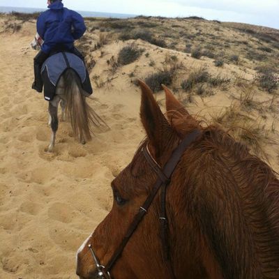 Sur le sable - 12.01.13