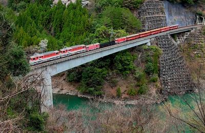Un train mixte dans la montagne...