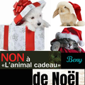   Cadeaux ??? et VOEUX d'ANIMAUX 