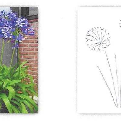 Il giardino di Lorna Bateman – 11a puntata