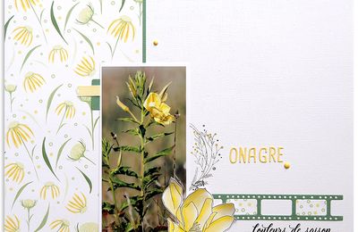jaune onagre