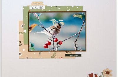 Défis Ha.Pi Little fox: #10