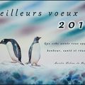 Bonne année 2014