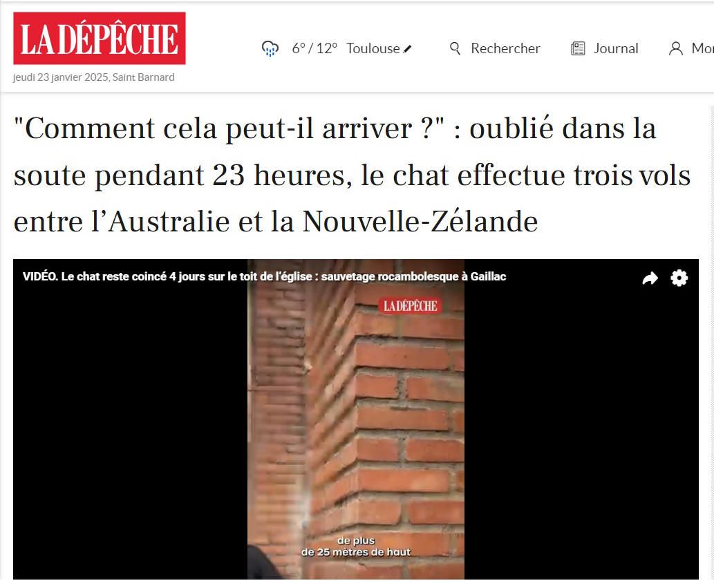 Mimine voyageuse