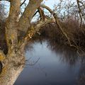 Camargue gardoise (6)