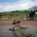 Plusieurs combattants tués dans les affrontements entre les FARDC et les insurgés de Dongo