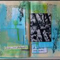 Semaine #8 et# 9 pour le journal jar de Stef