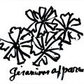 Le géranium apparent