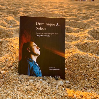 ✨ CHRONIQUE ✨Dominique A, Solide : Entretiens biographiques avec Grégoire Laville 
