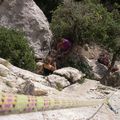 Dentelles octobre 2009