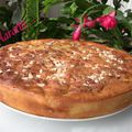 Apple Almond Cake