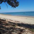 L'ILE D'OLERON AVEC LE T.P.B. du 16 au 21 Septembre 2018