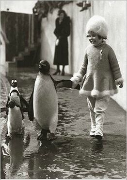 Horaires de fin d'année