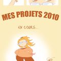 Mes projets pour 2010