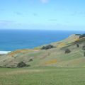 Otago Peninsula