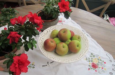 Gâteau aux pommes, pralin et décor spéculoos!