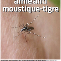 Lutte contre le moustique-tigre