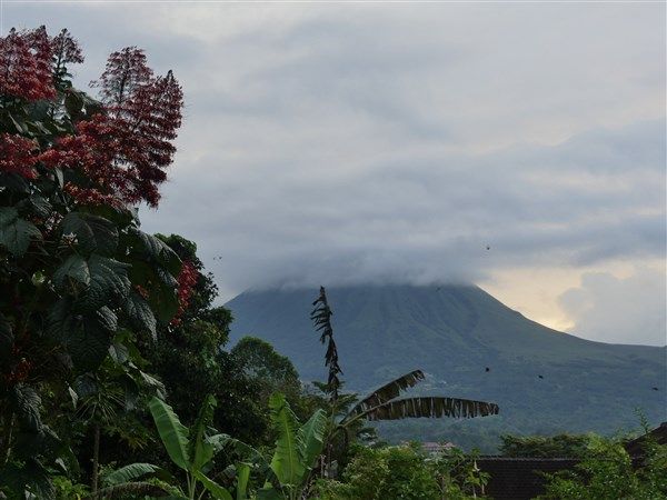 P1290787