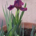 Un petit tour au "jardin"