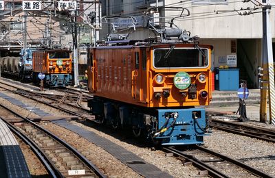 Erebos Golden Tour 2025 - 35 : Le train des gorges de Kurobe