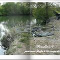 Parcours de pêche à la carpe de nuit !