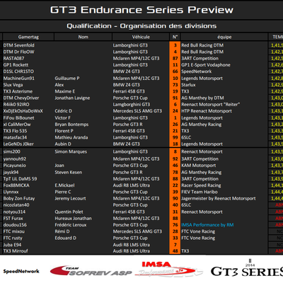 GT3 Endurance Series, la course Preview