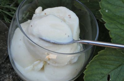 Frozen yoghourt au lait de Bretonne pie noir et vanille Bourbon: la climatisation de l'intérieur !