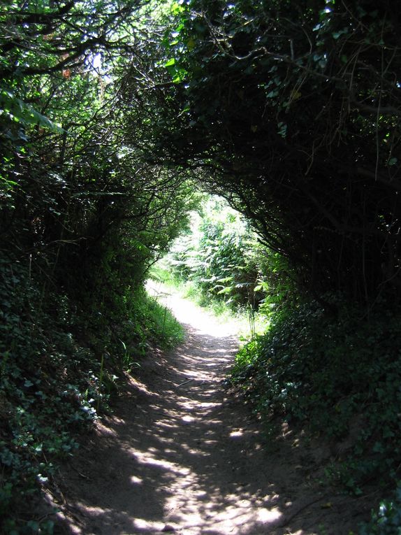 LE SENTIER DES DOUANIERS