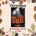 Mon avis sur "Devil's reach bikers T2, Démons" de J.L Drake