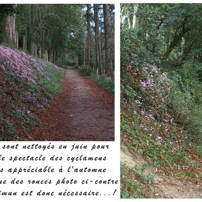 L'intérêt d'une bonne gestion