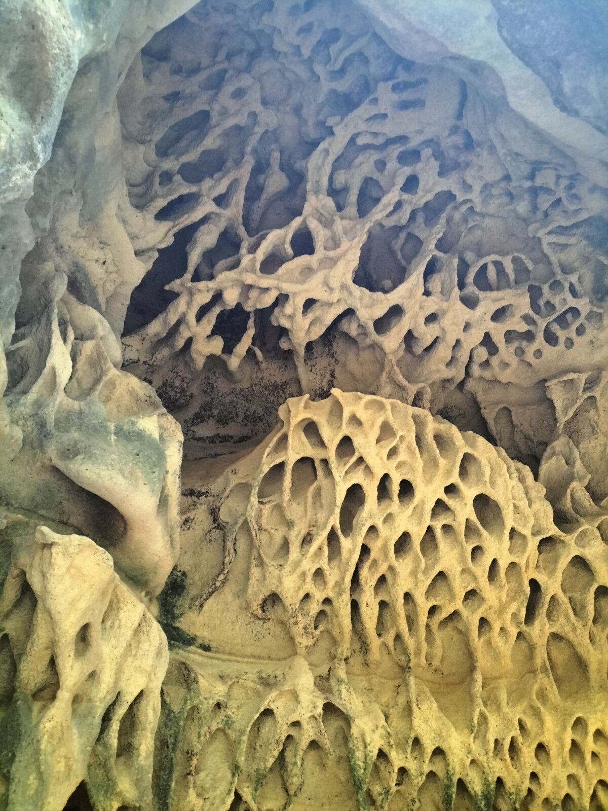 Vallée des couleurs, dans la forêt , une grotte, détail... (Espagne)