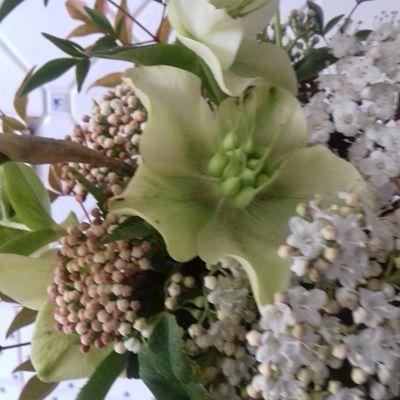 bouquet d'1 jour*hellébore*laurier tin***