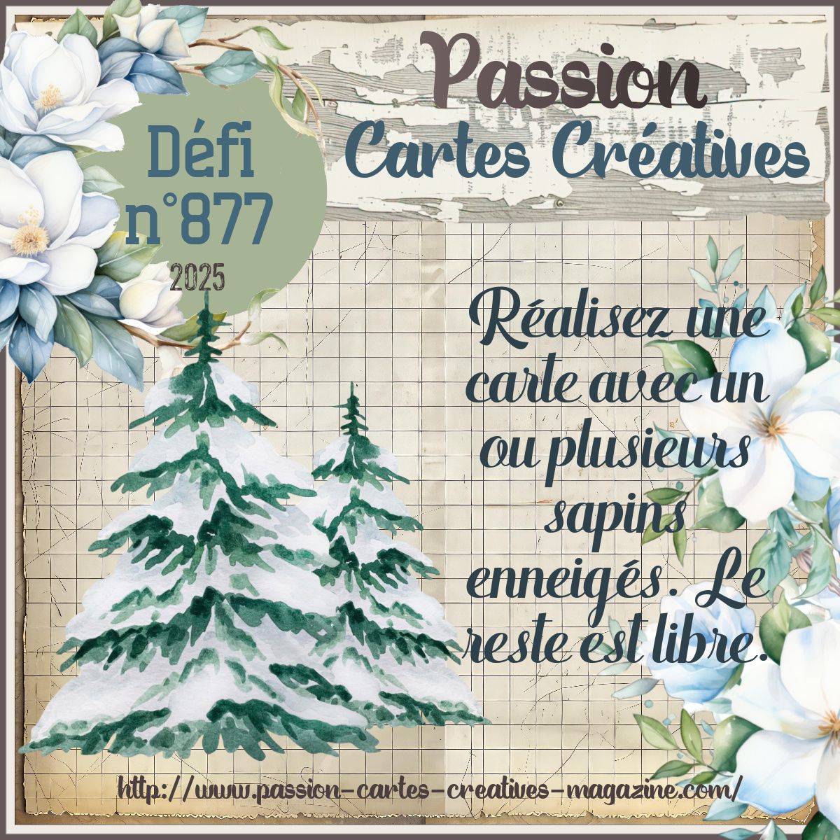 877 HIVER sapin enneigé 16 janvier