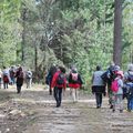 compte rendu des sorties "initiation à l'ornithologie" des 7 et 8 avril à Vizzavona