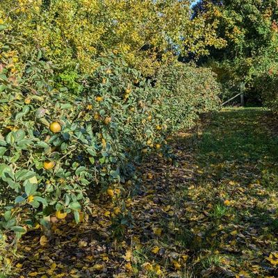 Week end du 19 et 20 Octobre