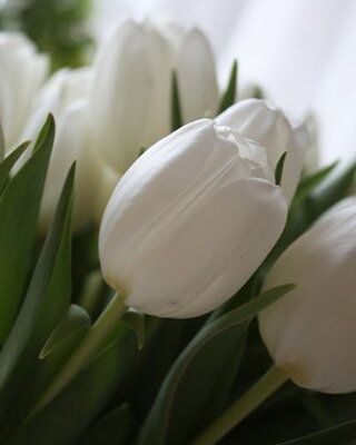 Belle semaine à vous qui passez par ici… 