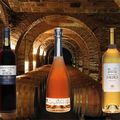 Au château de Saurs, la passion du Vin depuis 400 ans !