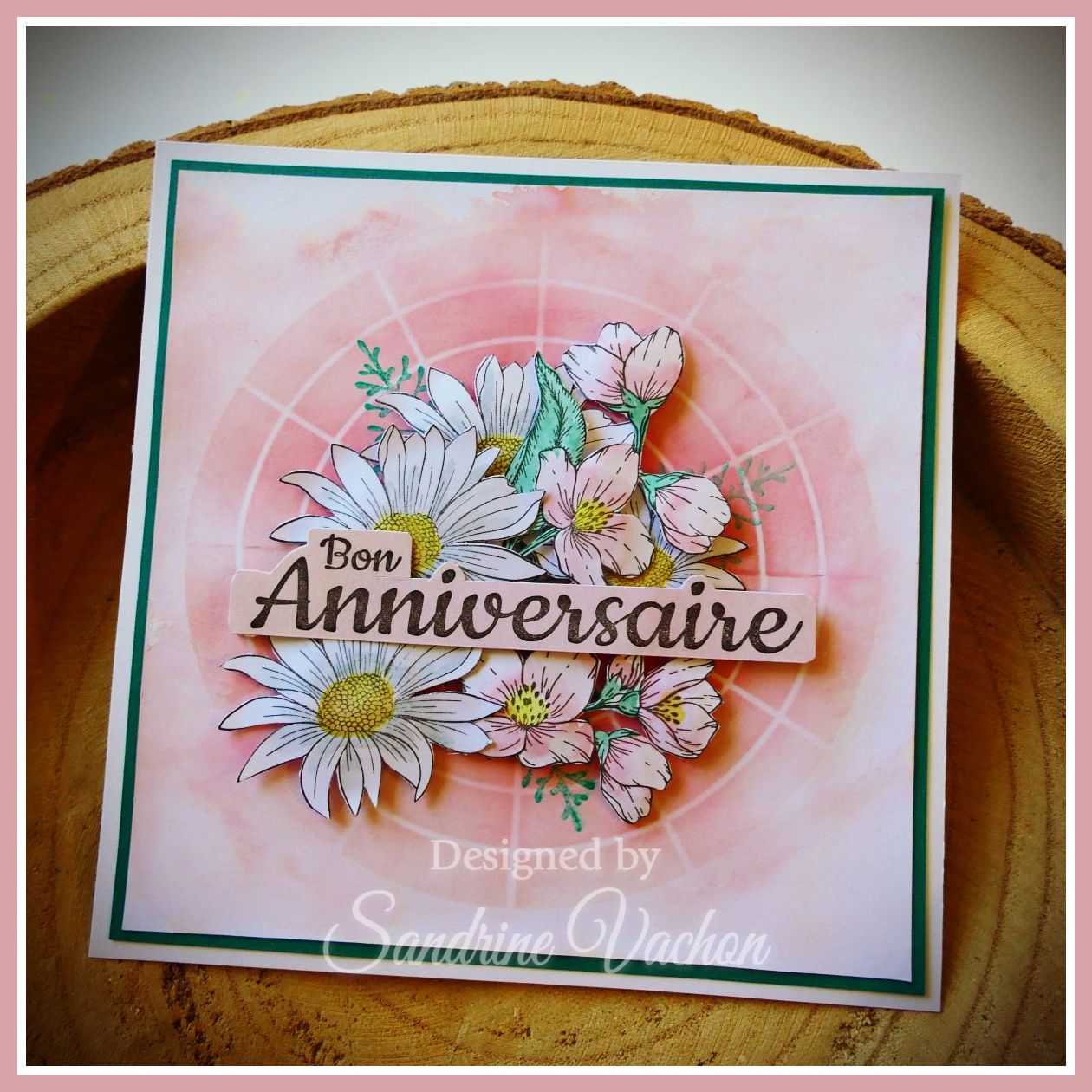 Sandrine VACHON 890 PCC (1)